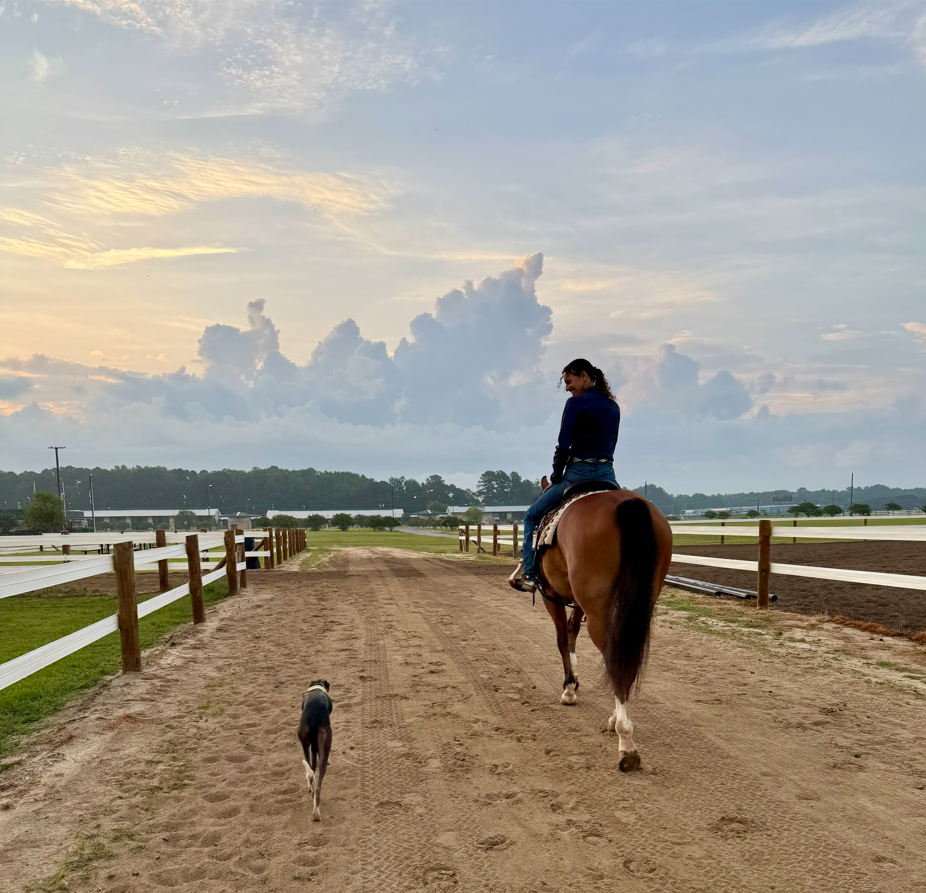 A dog trotting alongside a rider on horseback down a dirt farm road at dusk